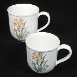 2 coffee mugs. Noritake Casual Gourmet Garden 7940/7